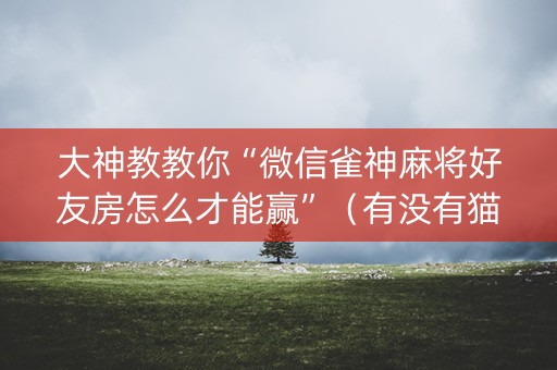 大神教教你“微信雀神麻将好友房怎么才能赢”（有没有猫腻)