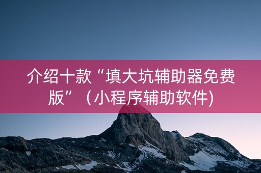 介绍十款“填大坑辅助器免费版”（小程序辅助软件)
