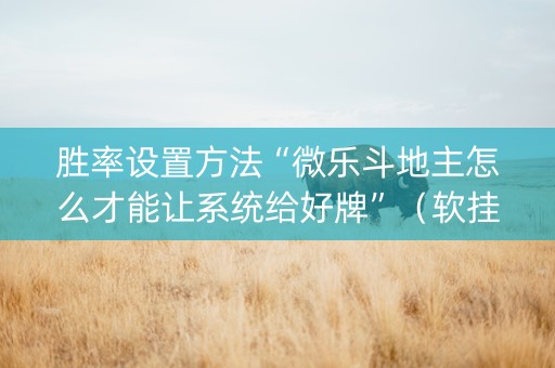 胜率设置方法“微乐斗地主怎么才能让系统给好牌”（软挂神器)