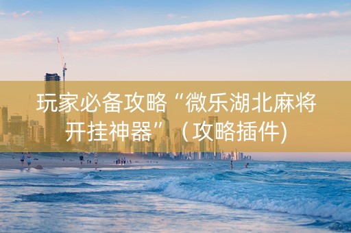 玩家必备攻略“微乐湖北麻将开挂神器”（攻略插件)