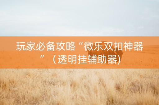 玩家必备攻略“微乐双扣神器”（透明挂辅助器)