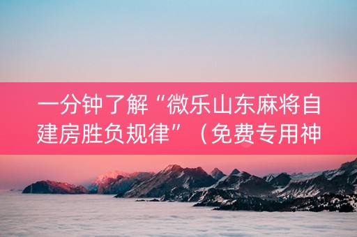 一分钟了解“微乐山东麻将自建房胜负规律”（免费专用神器)