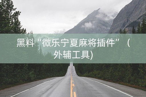 黑料“微乐宁夏麻将插件”（外辅工具)
