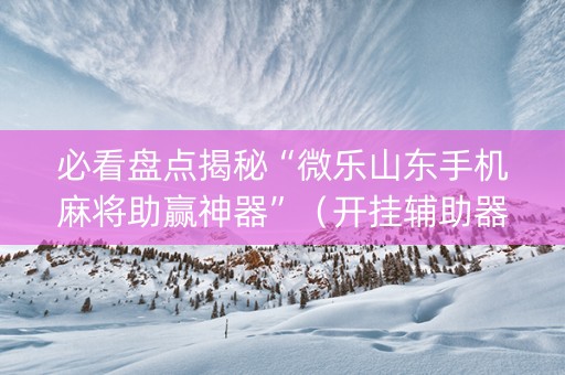 必看盘点揭秘“微乐山东手机麻将助赢神器”（开挂辅助器插件)