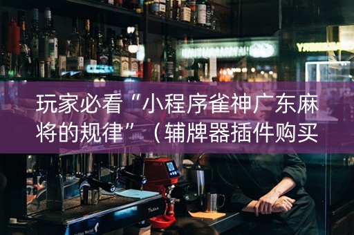 玩家必看“小程序雀神广东麻将的规律”（辅牌器插件购买)