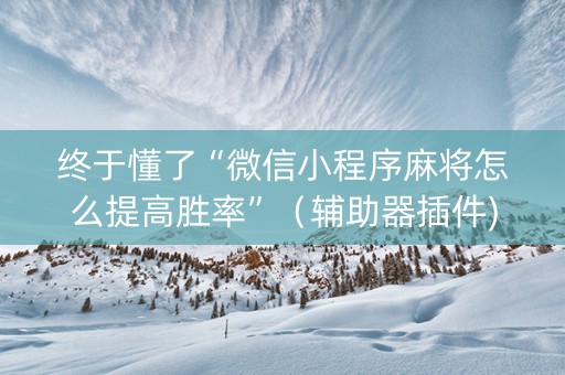 终于懂了“微信小程序麻将怎么提高胜率”（辅助器插件)