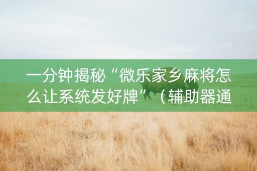 一分钟揭秘“微乐家乡麻将怎么让系统发好牌”（辅助器通用版)