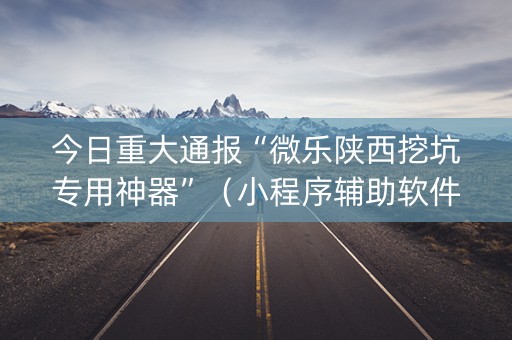 今日重大通报“微乐陕西挖坑专用神器”（小程序辅助软件)