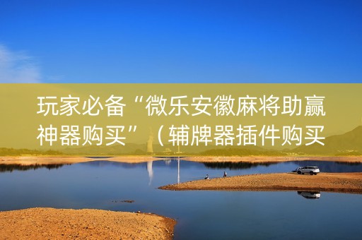 玩家必备“微乐安徽麻将助赢神器购买”（辅牌器插件购买)