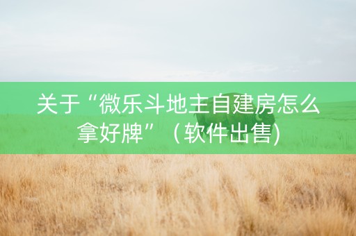 关于“微乐斗地主自建房怎么拿好牌”（软件出售)