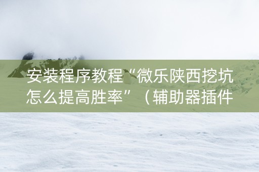 安装程序教程“微乐陕西挖坑怎么提高胜率”（辅助器插件)