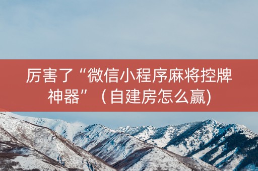 厉害了“微信小程序麻将控牌神器”（自建房怎么赢)