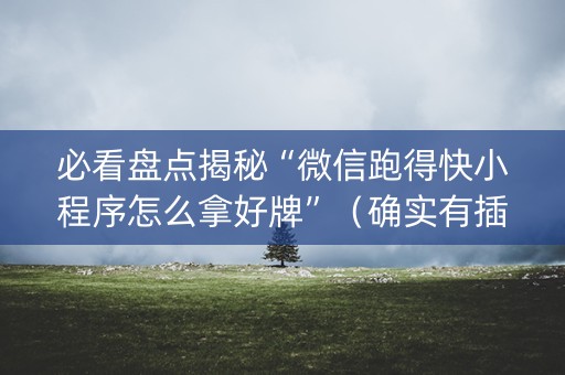 必看盘点揭秘“微信跑得快小程序怎么拿好牌”（确实有插件吗)