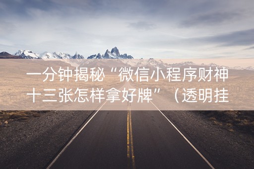 一分钟揭秘“微信小程序财神十三张怎样拿好牌”（透明挂辅助器)