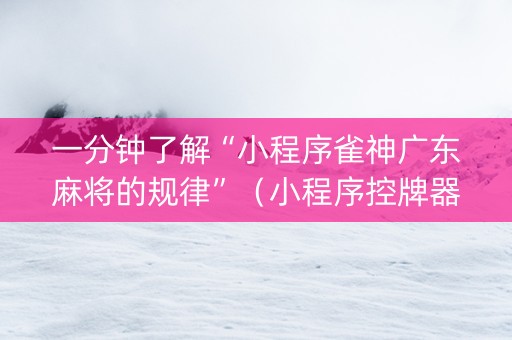 一分钟了解“小程序雀神广东麻将的规律”（小程序控牌器)