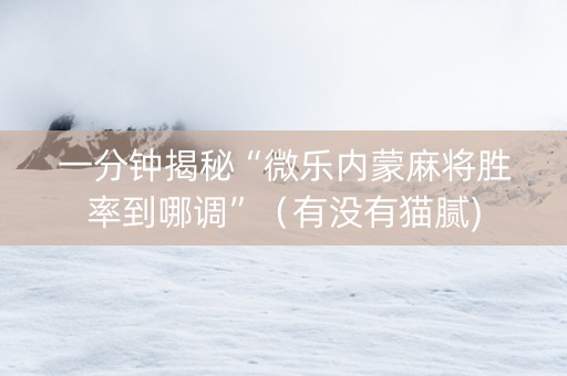 一分钟揭秘“微乐内蒙麻将胜率到哪调”（有没有猫腻)