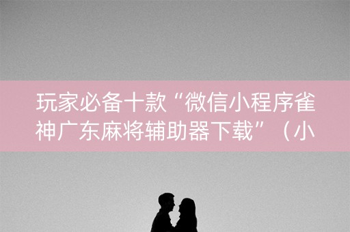 玩家必备十款“微信小程序雀神广东麻将辅助器下载”（小程序必赢神器)