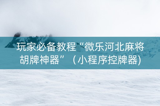 玩家必备教程“微乐河北麻将胡牌神器”（小程序控牌器)