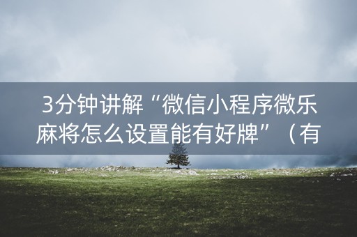 3分钟讲解“微信小程序微乐麻将怎么设置能有好牌”（有没有猫腻)