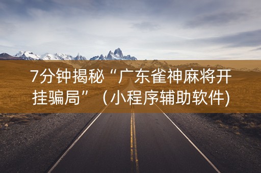 7分钟揭秘“广东雀神麻将开挂骗局”（小程序辅助软件)