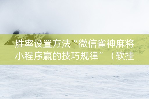 胜率设置方法“微信雀神麻将小程序赢的技巧规律”（软挂神器)
