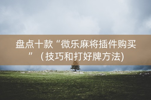 盘点十款“微乐麻将插件购买”（技巧和打好牌方法)
