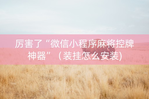 厉害了“微信小程序麻将控牌神器”（装挂怎么安装)