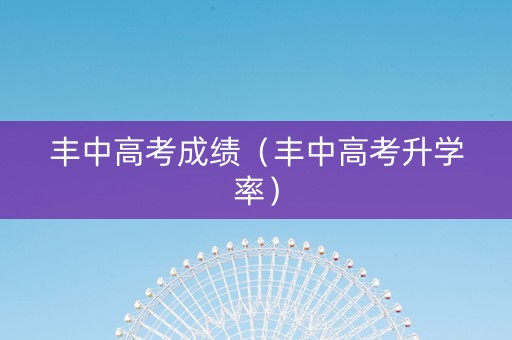 丰中高考成绩（丰中高考升学率）