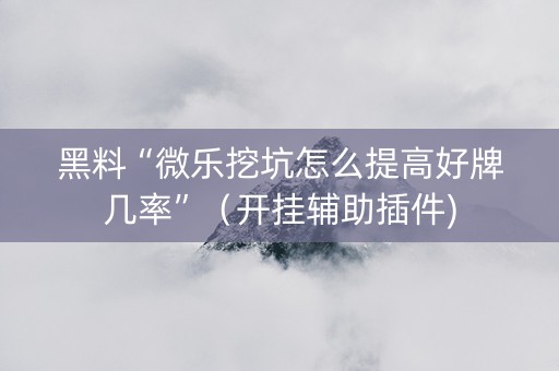 黑料“微乐挖坑怎么提高好牌几率”（开挂辅助插件)
