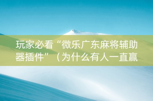 玩家必看“微乐广东麻将辅助器插件”（为什么有人一直赢)