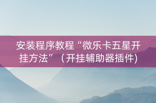 安装程序教程“微乐卡五星开挂方法”（开挂辅助器插件)
