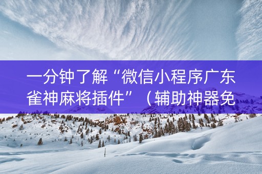 一分钟了解“微信小程序广东雀神麻将插件”（辅助神器免费)