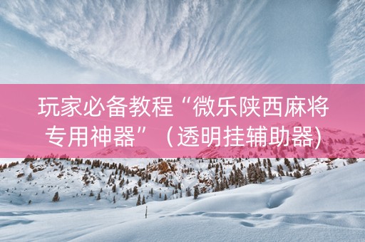 玩家必备教程“微乐陕西麻将专用神器”（透明挂辅助器)