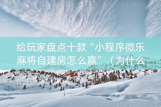 给玩家盘点十款“小程序微乐麻将自建房怎么赢”（为什么有人一直赢)
