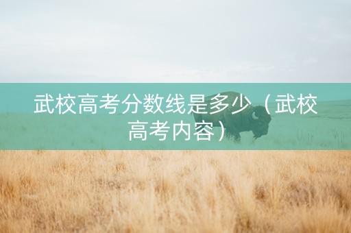 武校高考分数线是多少（武校高考内容）
