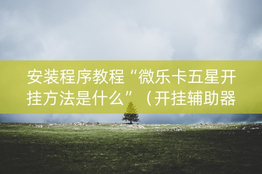 安装程序教程“微乐卡五星开挂方法是什么”（开挂辅助器脚本)