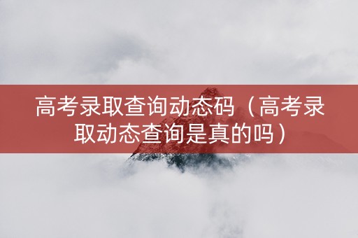 高考录取查询动态码（高考录取动态查询是真的吗）