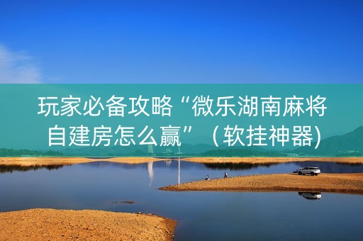 玩家必备攻略“微乐湖南麻将自建房怎么赢”（软挂神器)