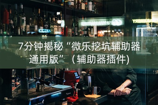 7分钟揭秘“微乐挖坑辅助器通用版”（辅助器插件)