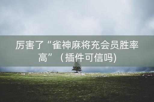 厉害了“雀神麻将充会员胜率高”（插件可信吗)