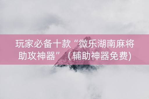 玩家必备十款“微乐湖南麻将助攻神器”（辅助神器免费)