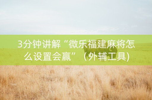 3分钟讲解“微乐福建麻将怎么设置会赢”（外辅工具)