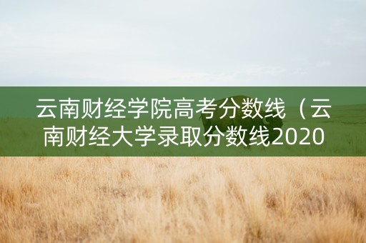 云南财经学院高考分数线（云南财经大学录取分数线2020理科）