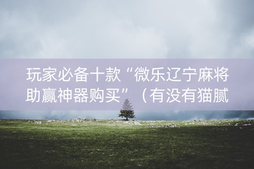 玩家必备十款“微乐辽宁麻将助赢神器购买”（有没有猫腻)
