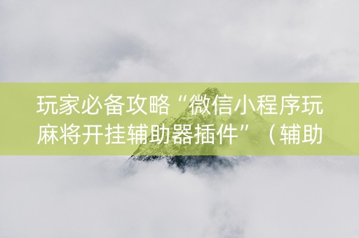 玩家必备攻略“微信小程序玩麻将开挂辅助器插件”（辅助器插件)