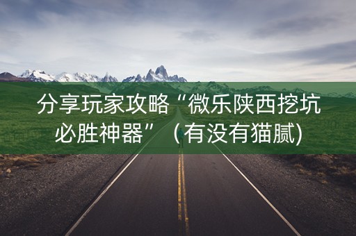 分享玩家攻略“微乐陕西挖坑必胜神器”（有没有猫腻)