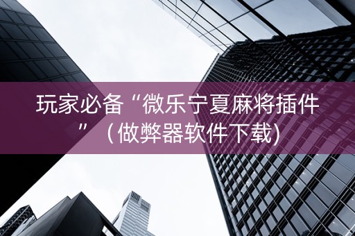 玩家必备“微乐宁夏麻将插件”（做弊器软件下载)