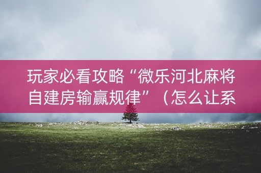 玩家必看攻略“微乐河北麻将自建房输赢规律”（怎么让系统给自己好牌)