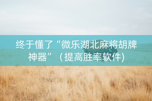 终于懂了“微乐湖北麻将胡牌神器”（提高胜率软件)