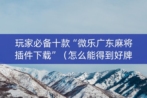 玩家必备十款“微乐广东麻将插件下载”（怎么能得到好牌)